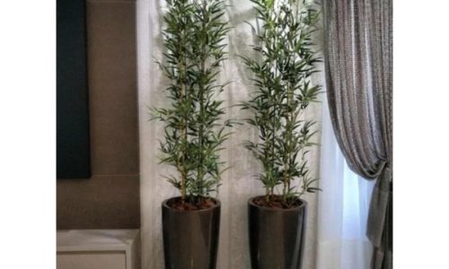 Dê um Toque de Elegância à Sua Casa com um Bambu Artificial de 1 Metro