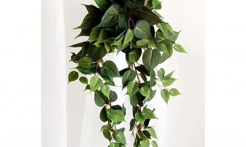 Kit 2 Plantas Artificiais Jiboia Ornamental Exótica - Beleza e Praticidade na Decoração