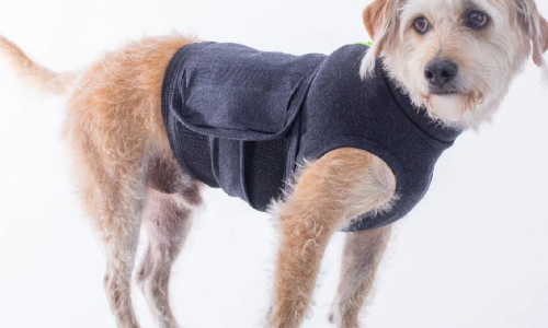 FIM DE ANO CHEGANDO… E O MEDO DO SEU PET TAMBÉM?A solução que traz conforto e segurança:
🦺 COLETE ANTI STRESS CALM PET